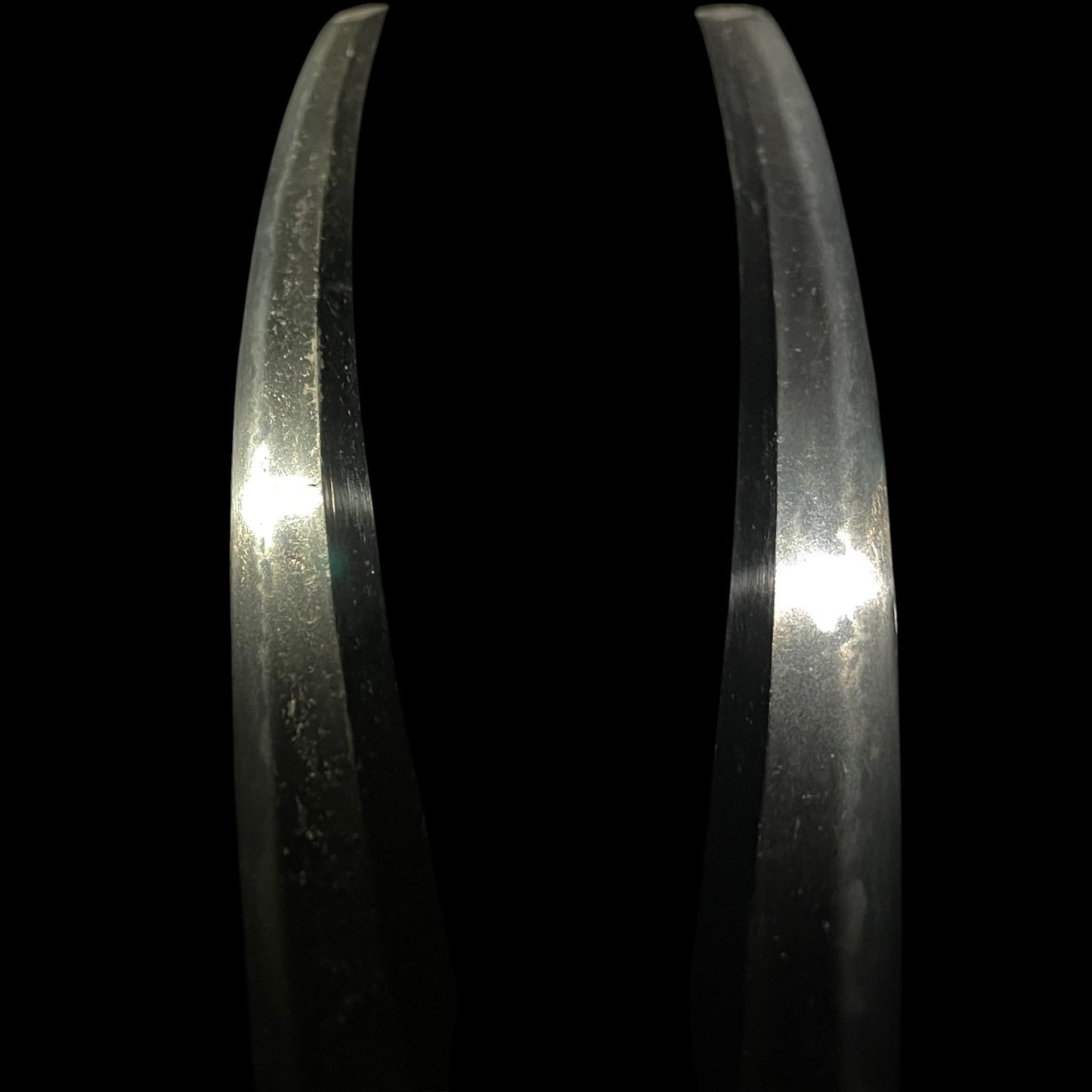 Sadamune 貞宗 signed Wakizashi, Dog Fuchikashira, Shakudo Kozuka, Edo period