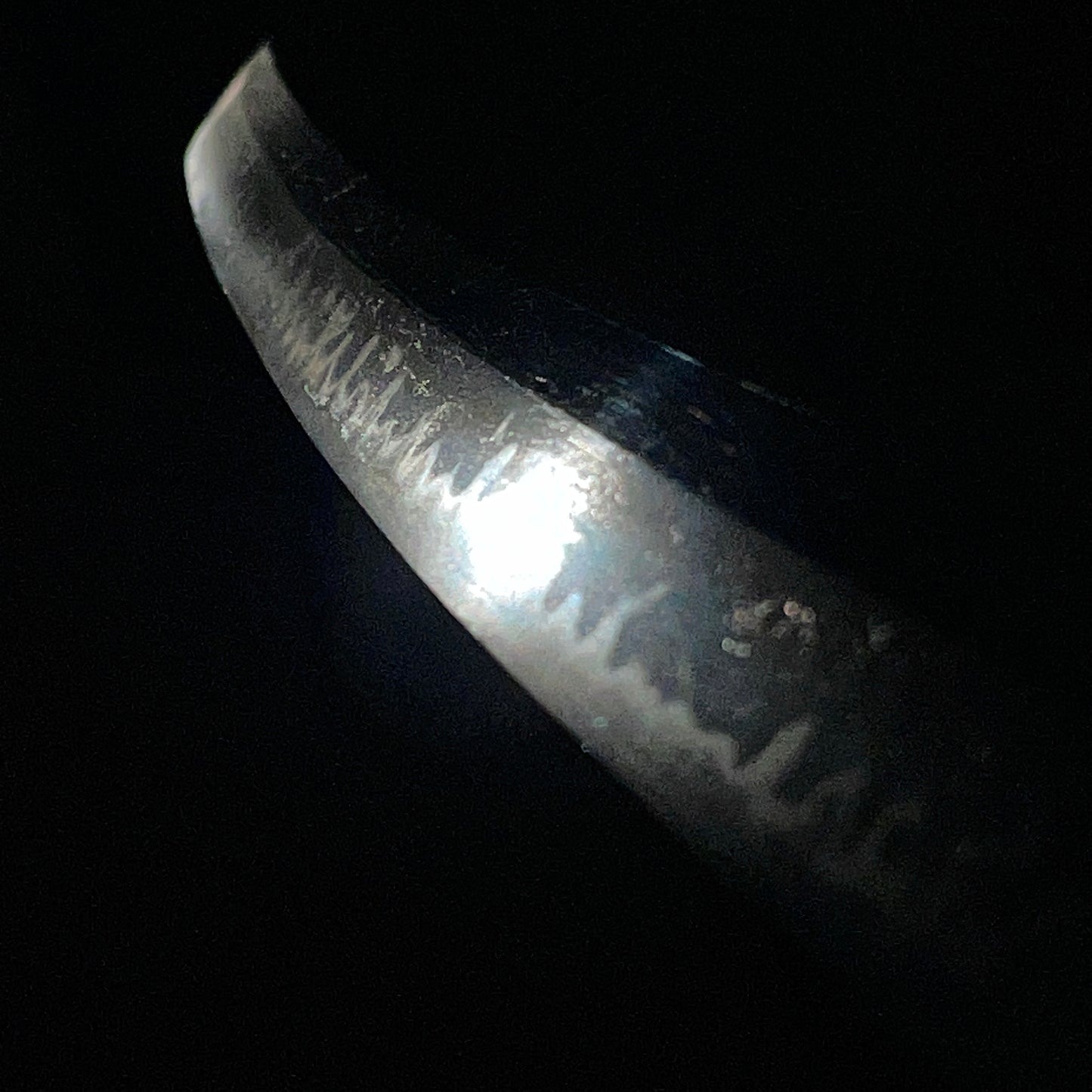 Katsushige 勝重 signed Long Wakizashi, Botanjishi Tsuba, Dragon Kozuka, Edo period