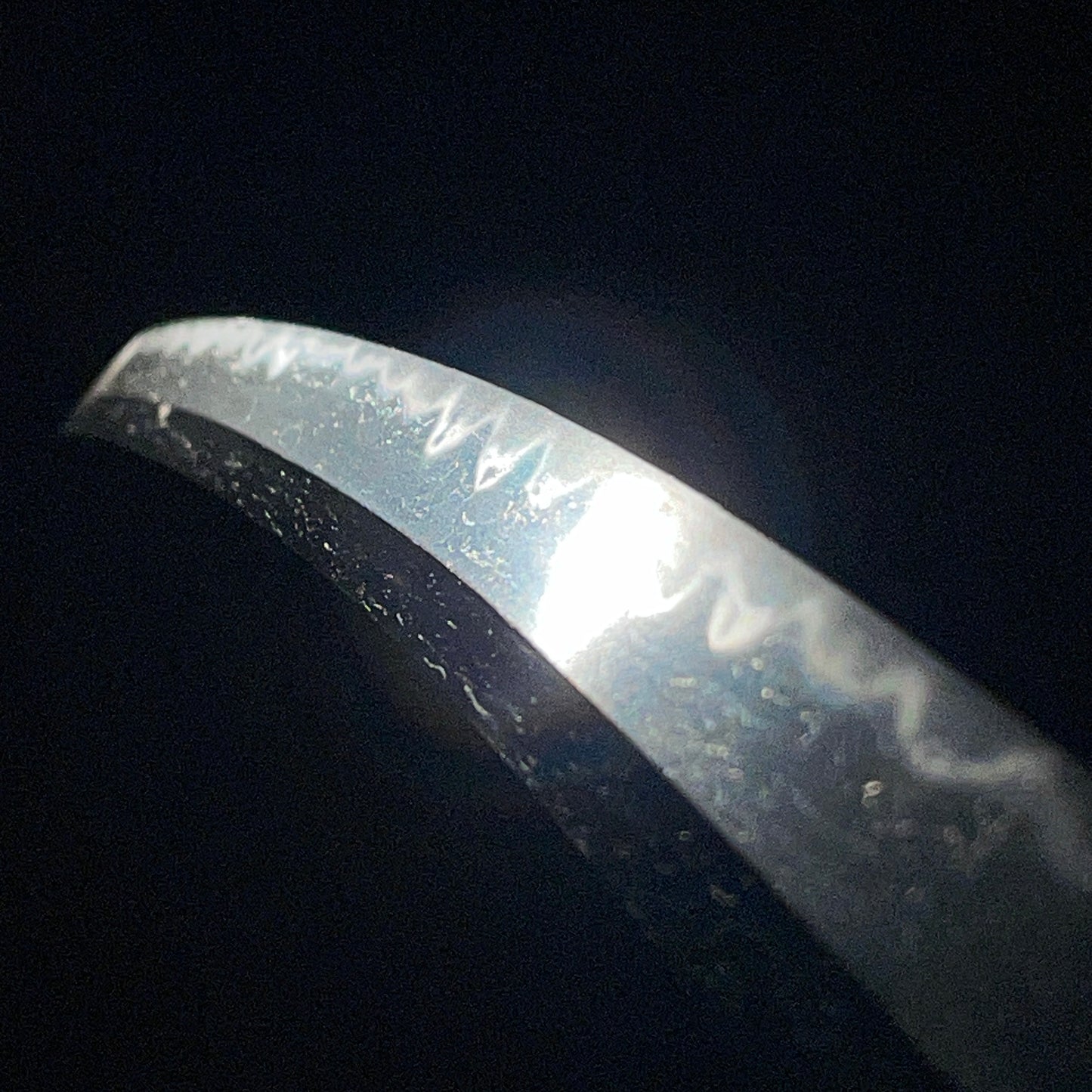 Toppei Koshirae 突兵拵 Long Wakizashi, Mantis Tsuba 蟷螂鍔,  Bishuju Morimitsu 備州住守光 signed
