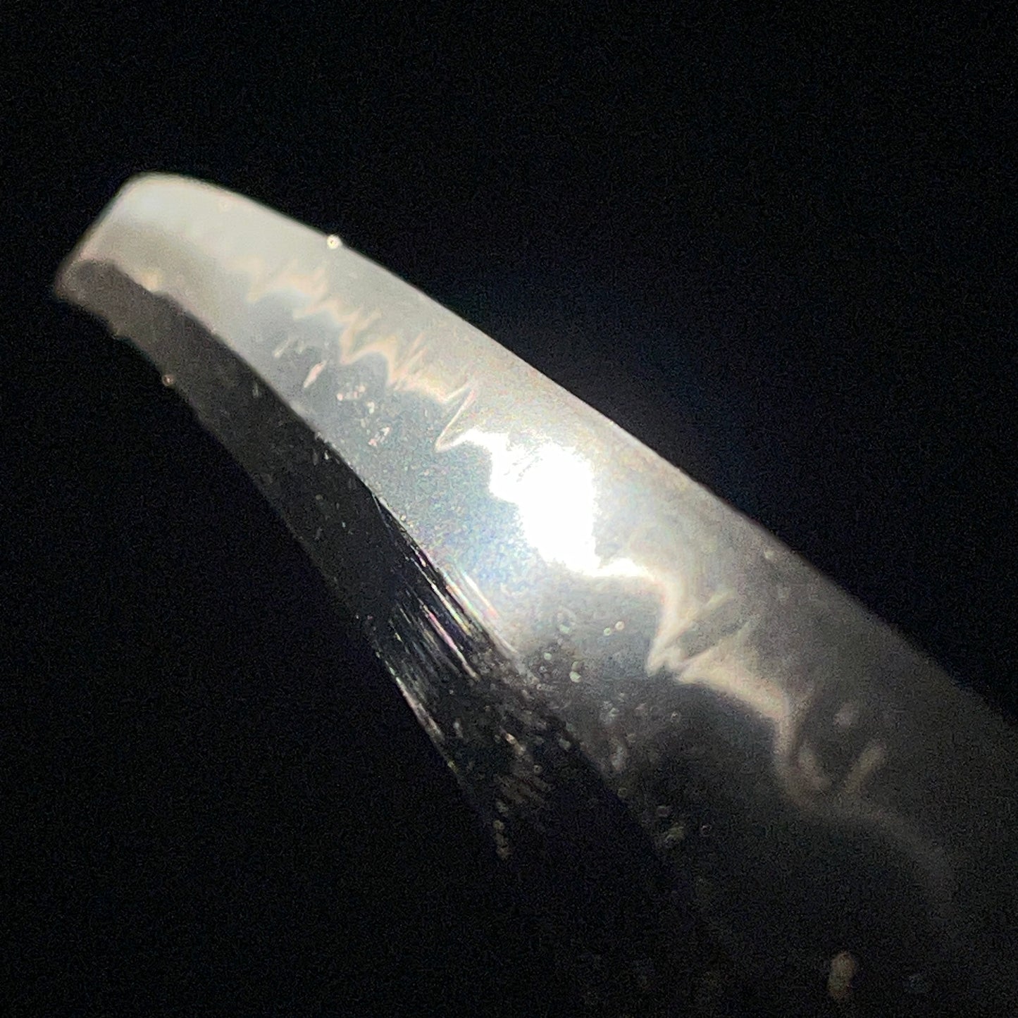 Chrysanthemum Tsuba 菊鍔 Short Wakizashi, Thick blade, Edo period mumei