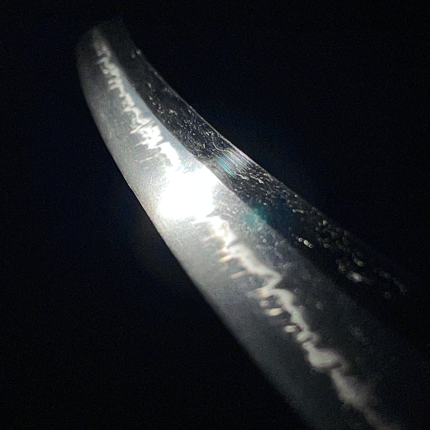 Amazing Hamon Kishu Ishido Yasumitsu 紀州石堂康光 Wakizashi, Shakudo nanako Fittings