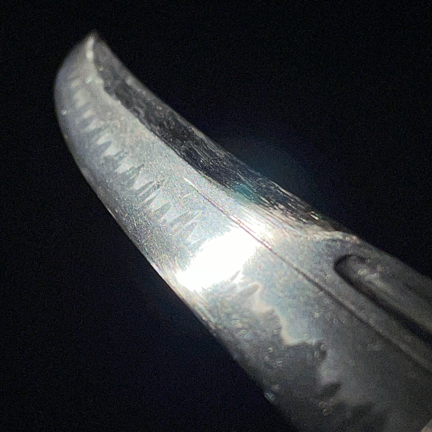 Naginatanaoshi-Zukuri 薙刀直造 Wakizashi, Flower Fittings, Muromachi period mumei