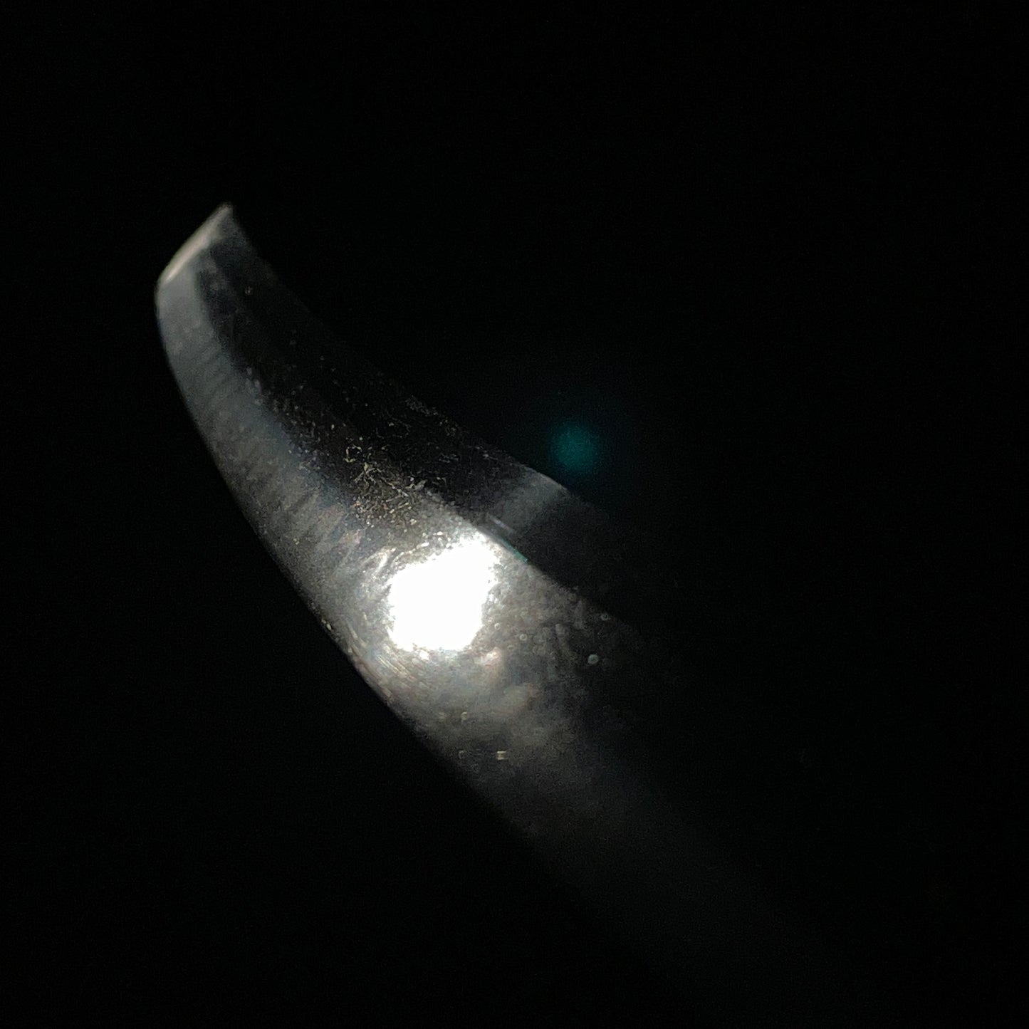 Red Wakizashi Catfish Kozuka,  Tsuda Echizennokami Sukehiro August 1681 signed