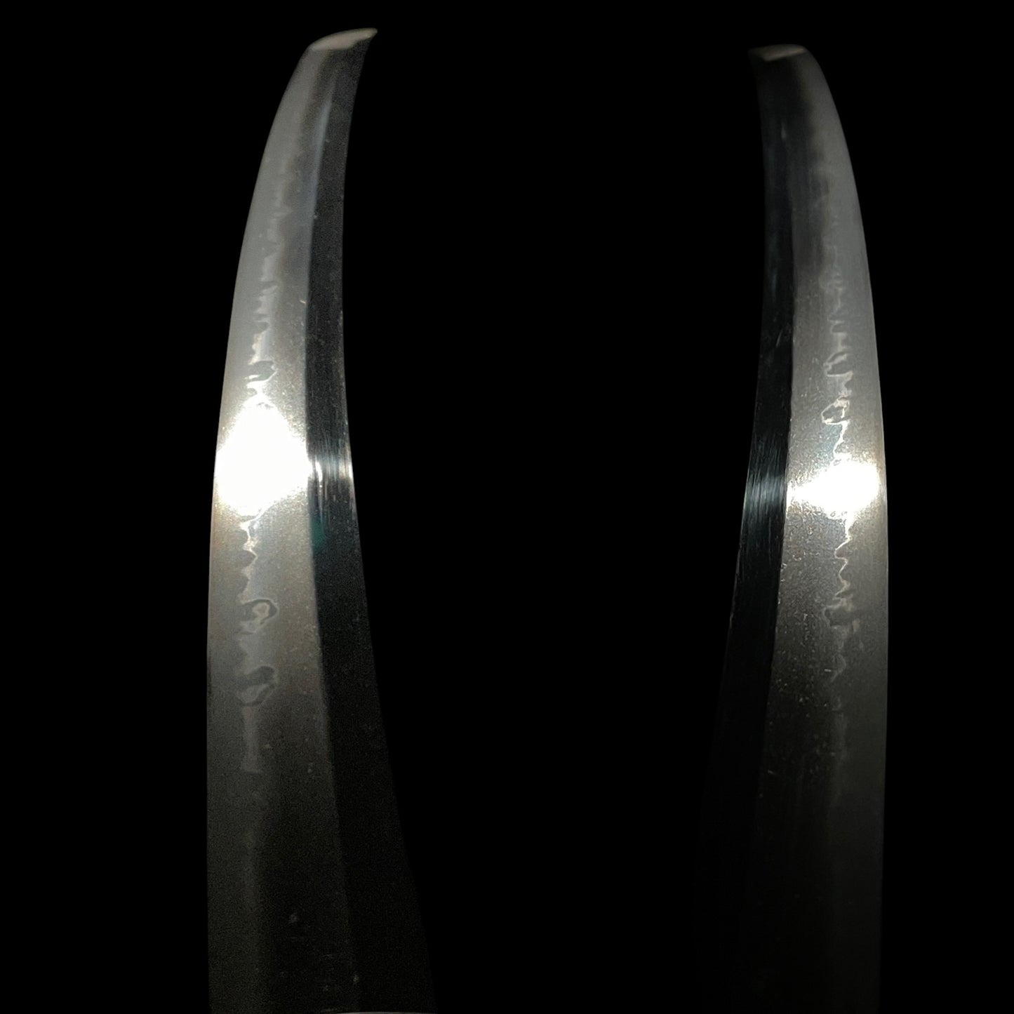 Harimadaijo Tadakuni 播磨大掾忠國 signed Wakizashi, Dragon Fuchi, Hotei Tsuba, Edo period
