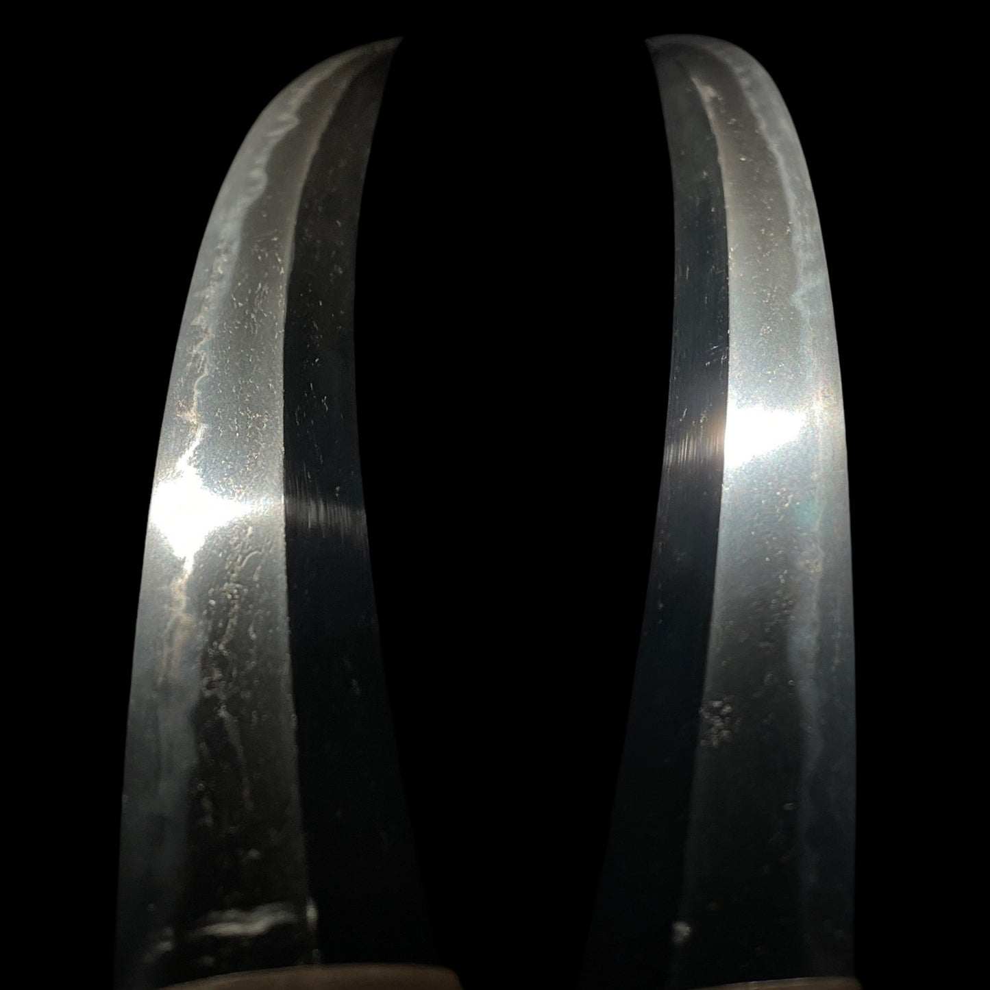 Shobuzukuri 菖蒲造 Wakizashi, Rugged Blade, Edo period mumei