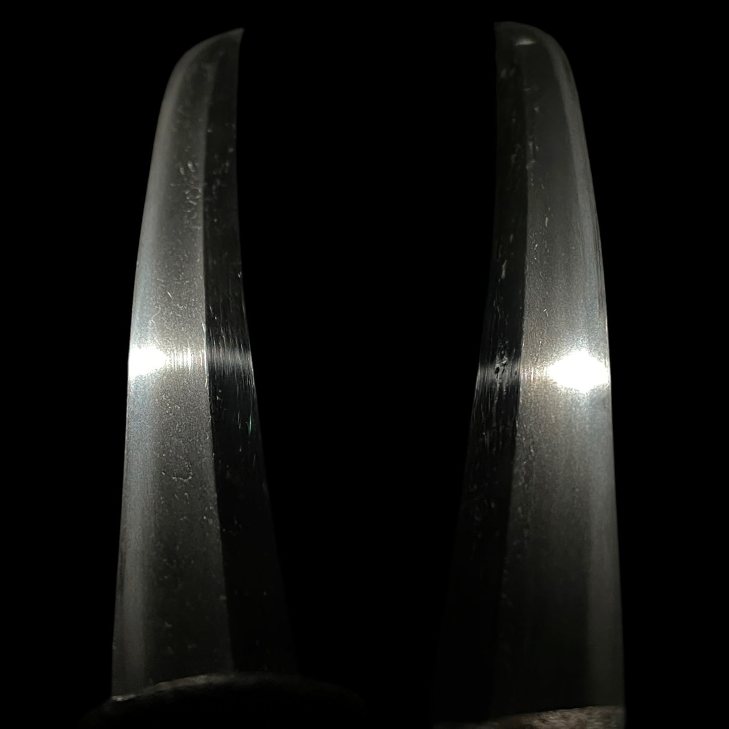 Shobuzukuri 菖蒲造 Short Wakizashi, Edo period mumei
