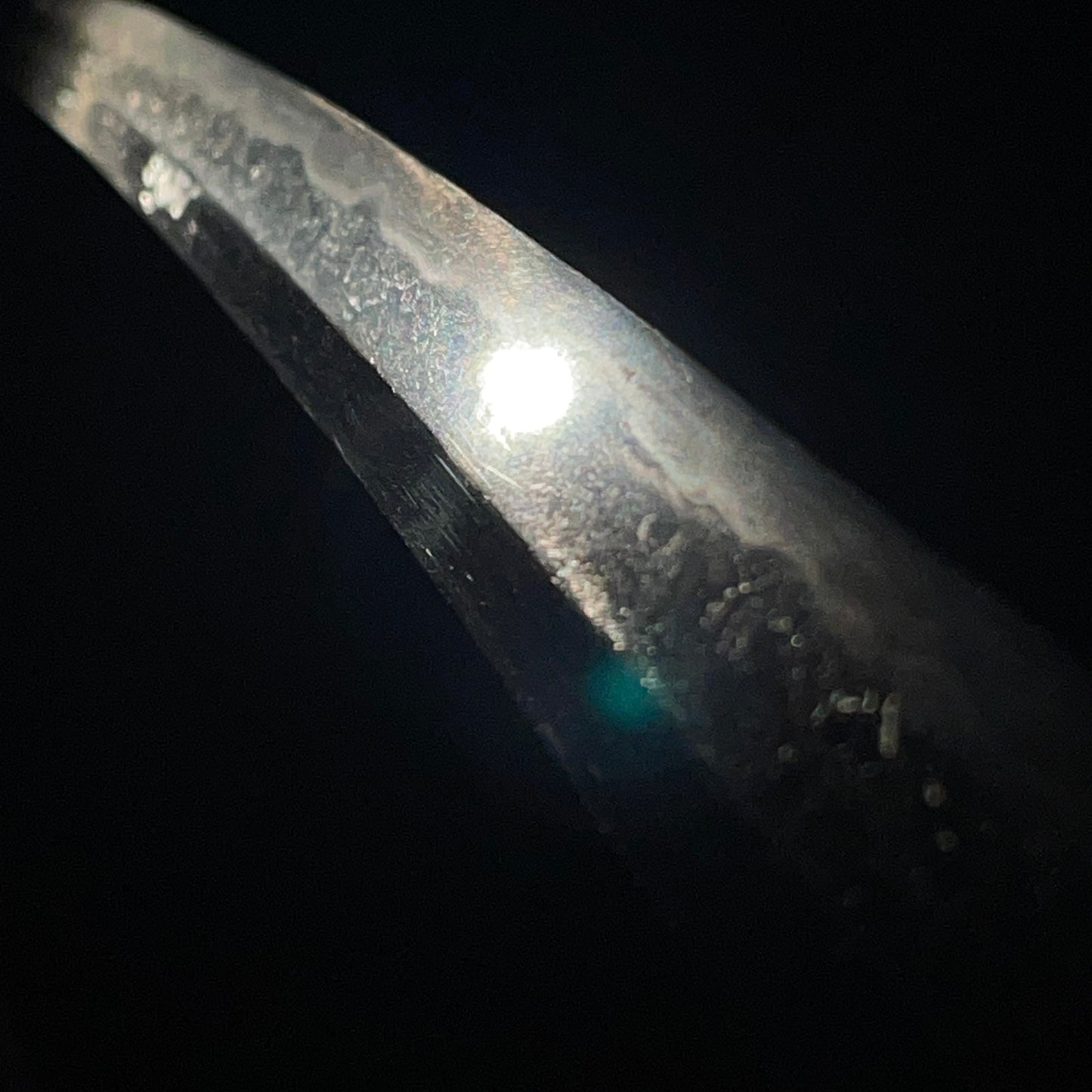 Black KATANA, Yamashirokoku Fushimiju Kaneie signed Tsuba,Dragon Menuki