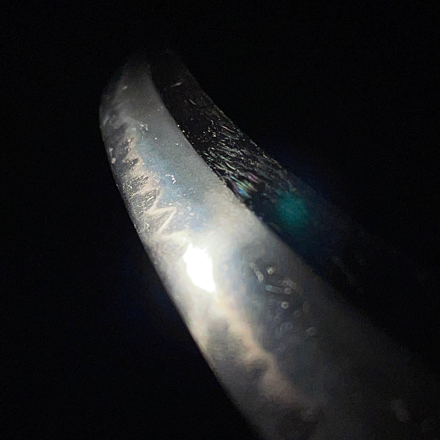 Shobuzukuri Wakizashi in Shirasaya, Late Muromachi period mumei