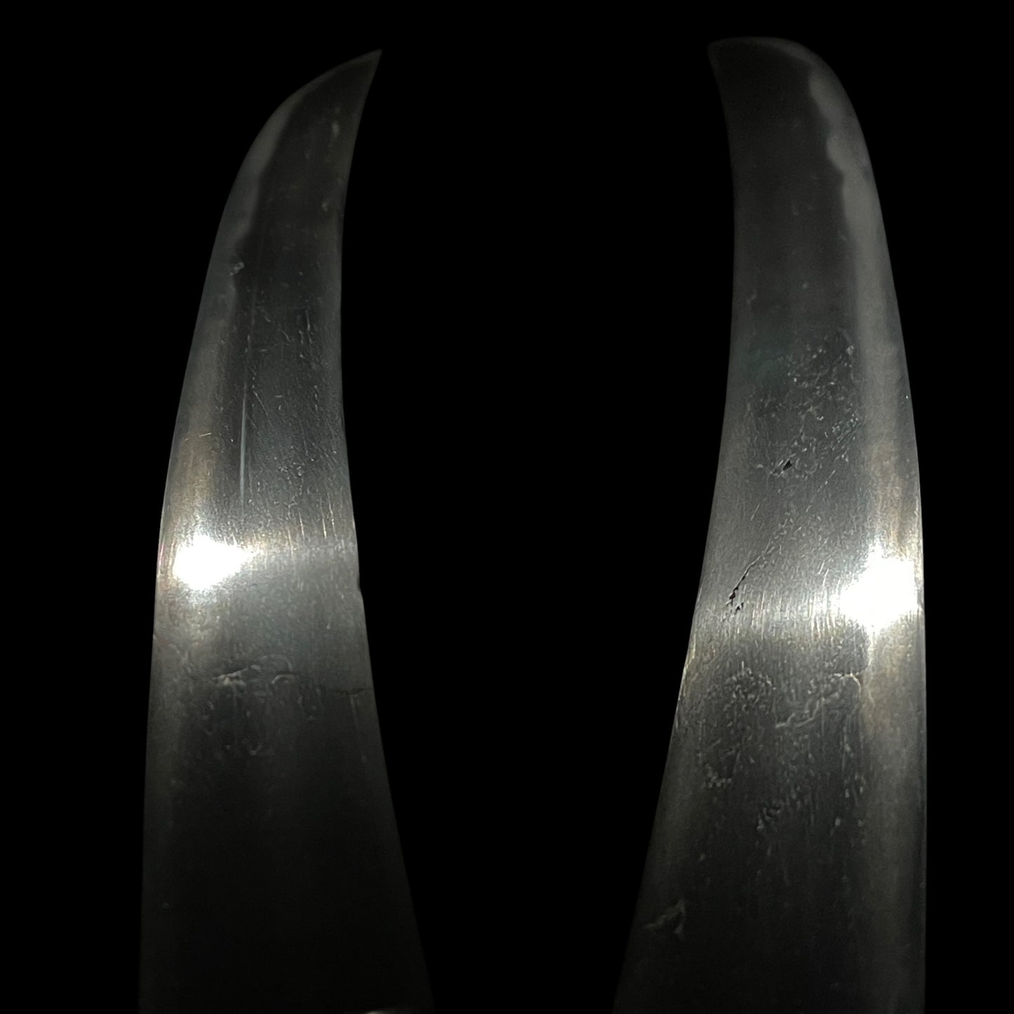 Oozori 大反り Hirazukuri Wakizashi, Pampas grass and crickets Fuchikashira, Edo period mumei