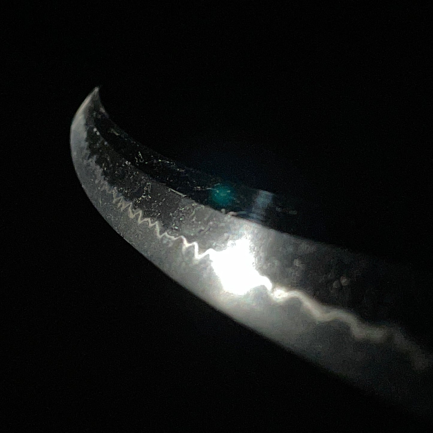 Natanenurisaya 菜種塗鞘 Wakizashi, Bushuedo Echizen Yasutsuna 於武州江戸越前安綱 signed