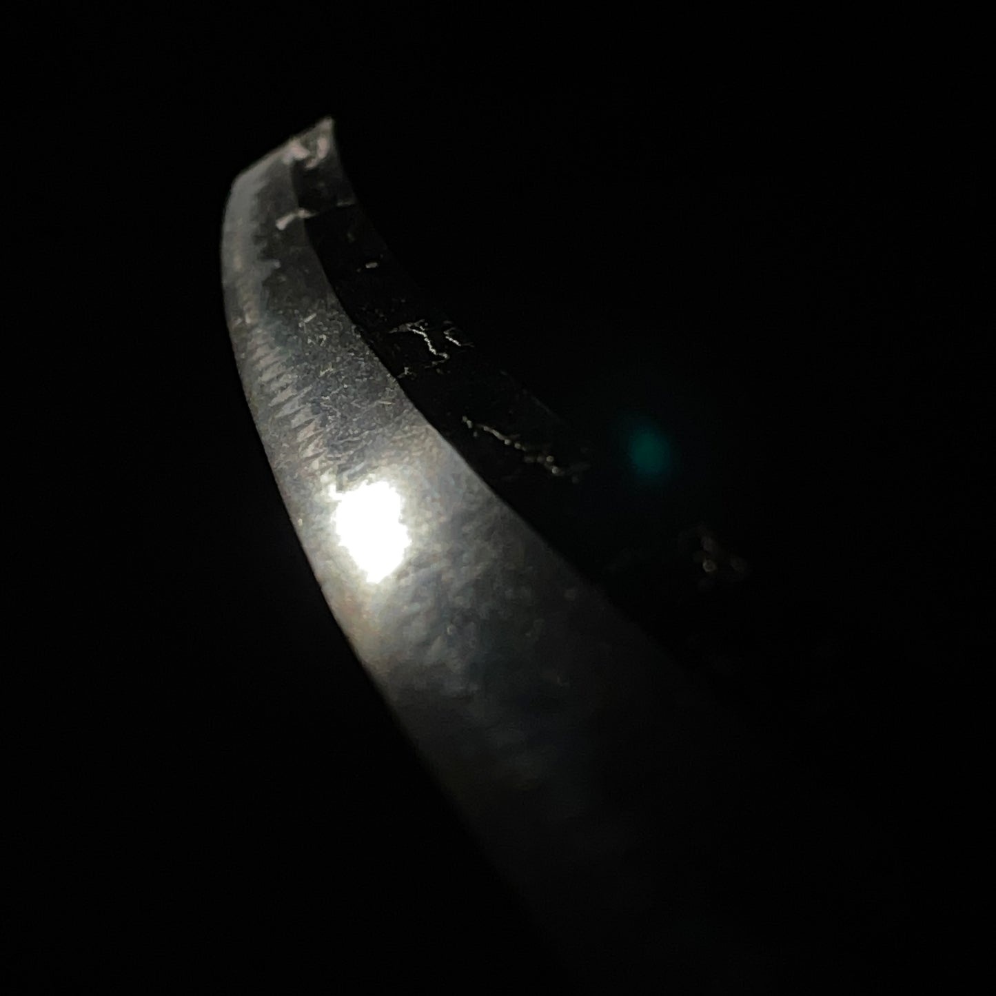 Kanemoto 兼元 signed Long WAKIZASHI, Boar Fuchikashira, Edo period