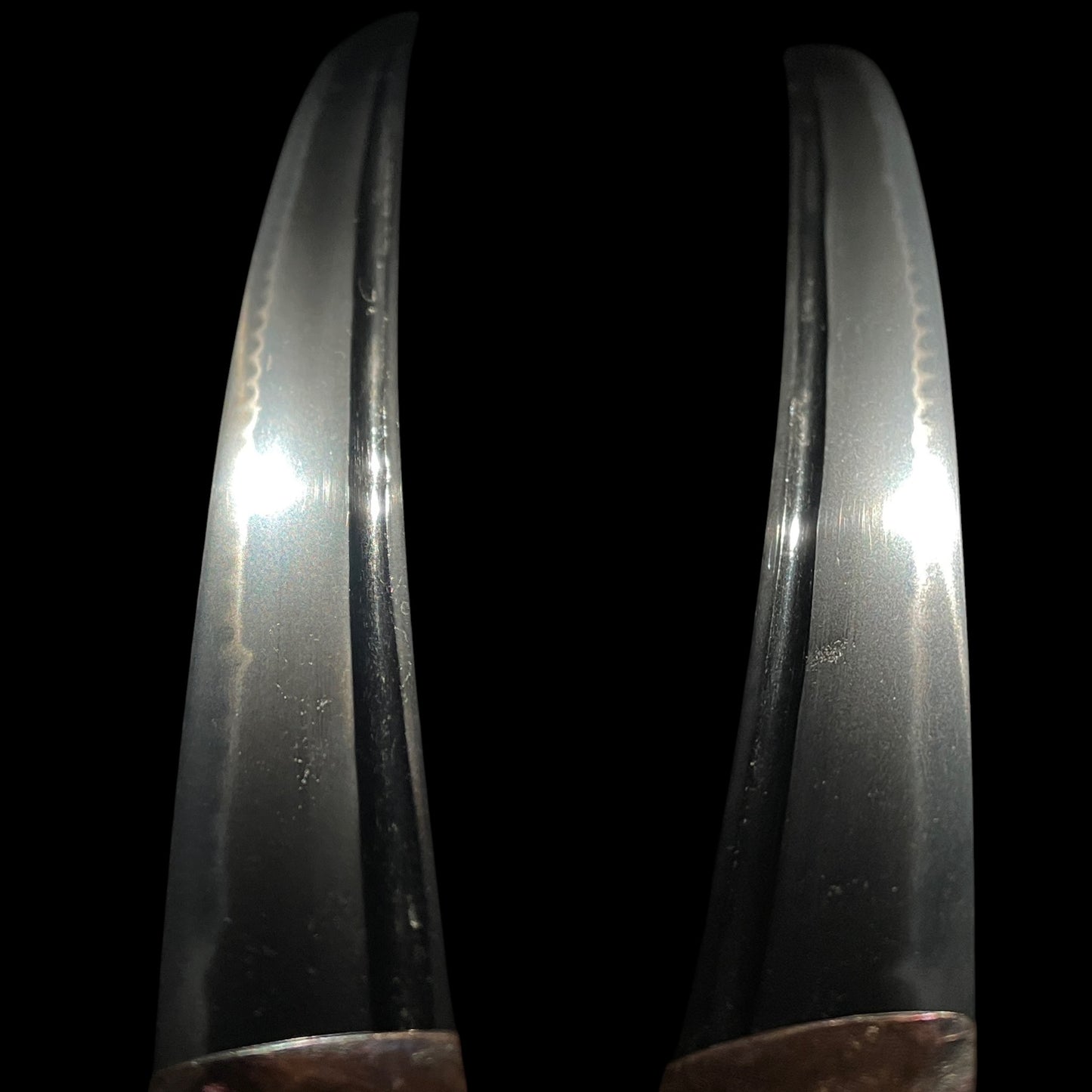 Rayskin Koshirae 鮫皮研出拵, Jumyo 壽命 Wakizashi, Muromachi period, with Shirasaya