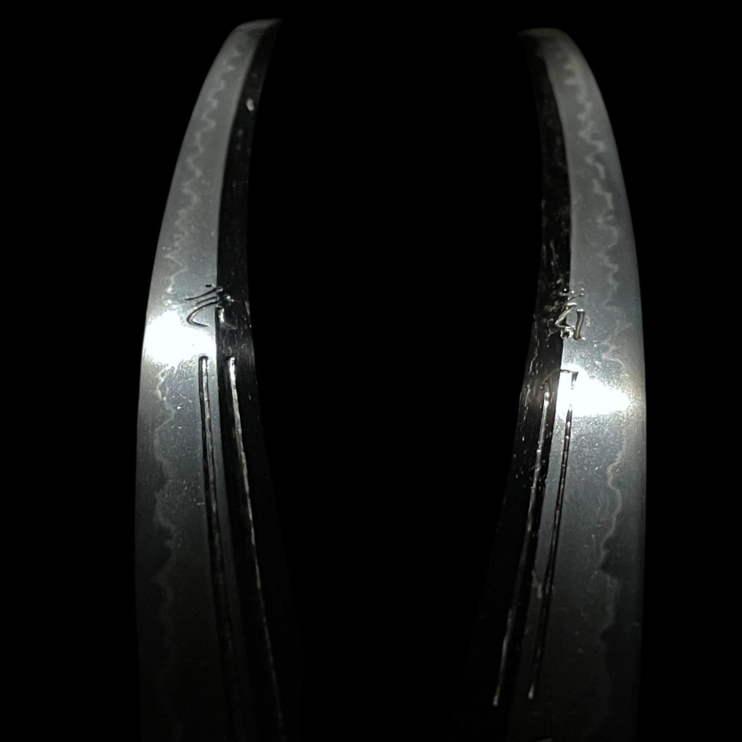 Tanbanokami Terukado 丹波守照門 signed Long Wakizashi, HORIMONO 彫物, Edo period