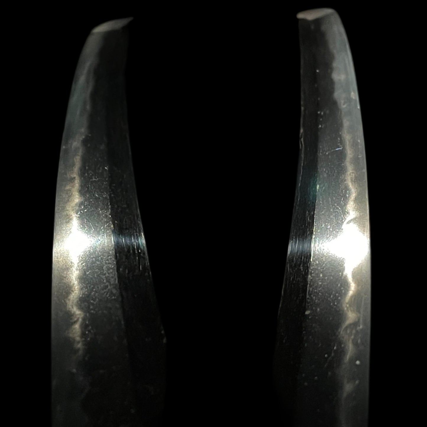 Tiger Menuki Wakizashi with Kozuka, Moon and Geese Fittings, Edo period mumei