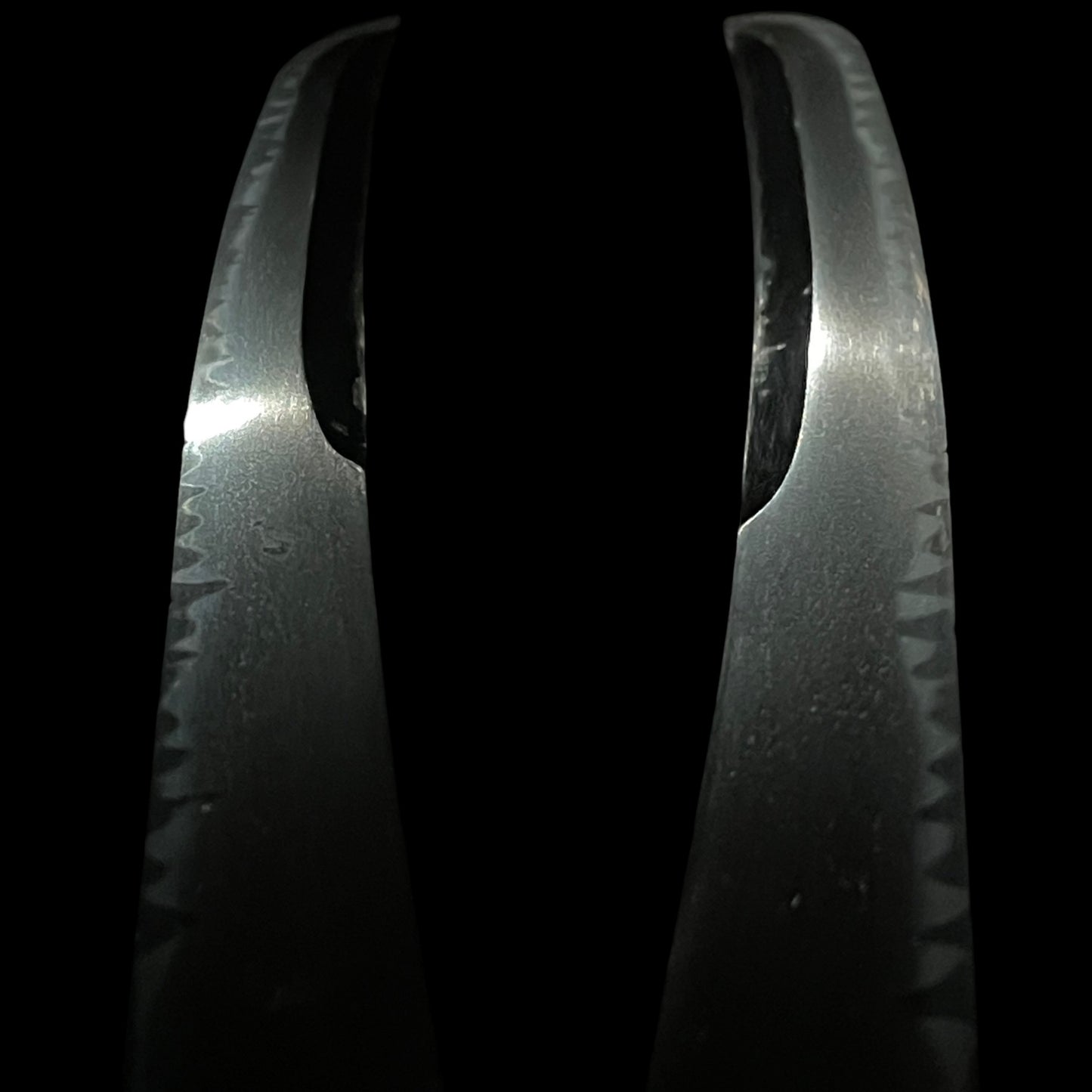 UNOKUBI-ZUKURI 鵜首造 WAKIZASHI, Thick blade, Edo period mumei