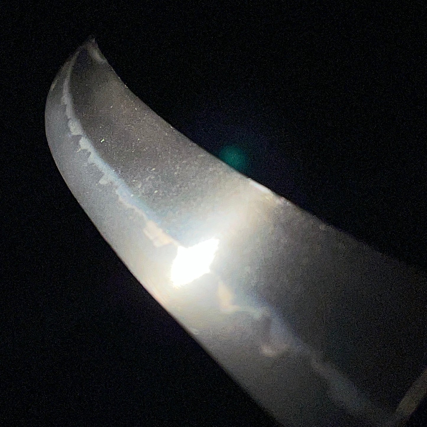 Radensaya 螺鈿鞘 Wide Hirazukuri Wakizashi, Izuminokami Kanesada signed, Plum Fittings
