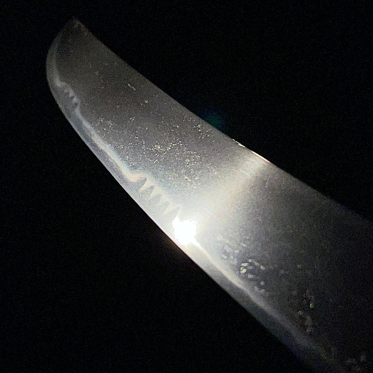 Hirazukuri Wakizashi, Butterflies and peonies Fittings, Enju Nobukatsu signed Kozuka