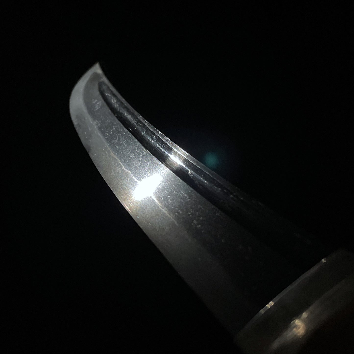 Very Wide Shobuzukuri Wakizashi, Tadayoshi(4gen) 四代忠吉, NBTHK Certificate