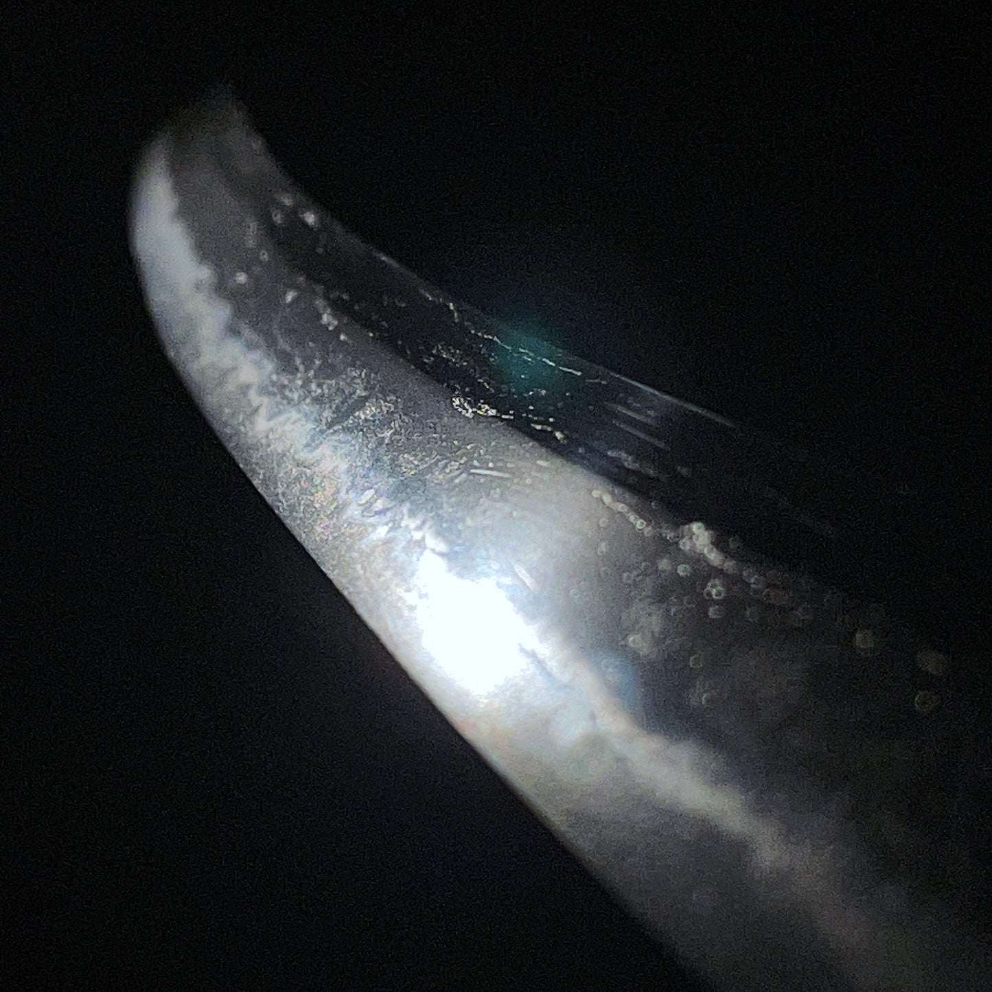 Homarekizu 誉傷, Long Wakizashi in Shirasaya, Edo period mumei