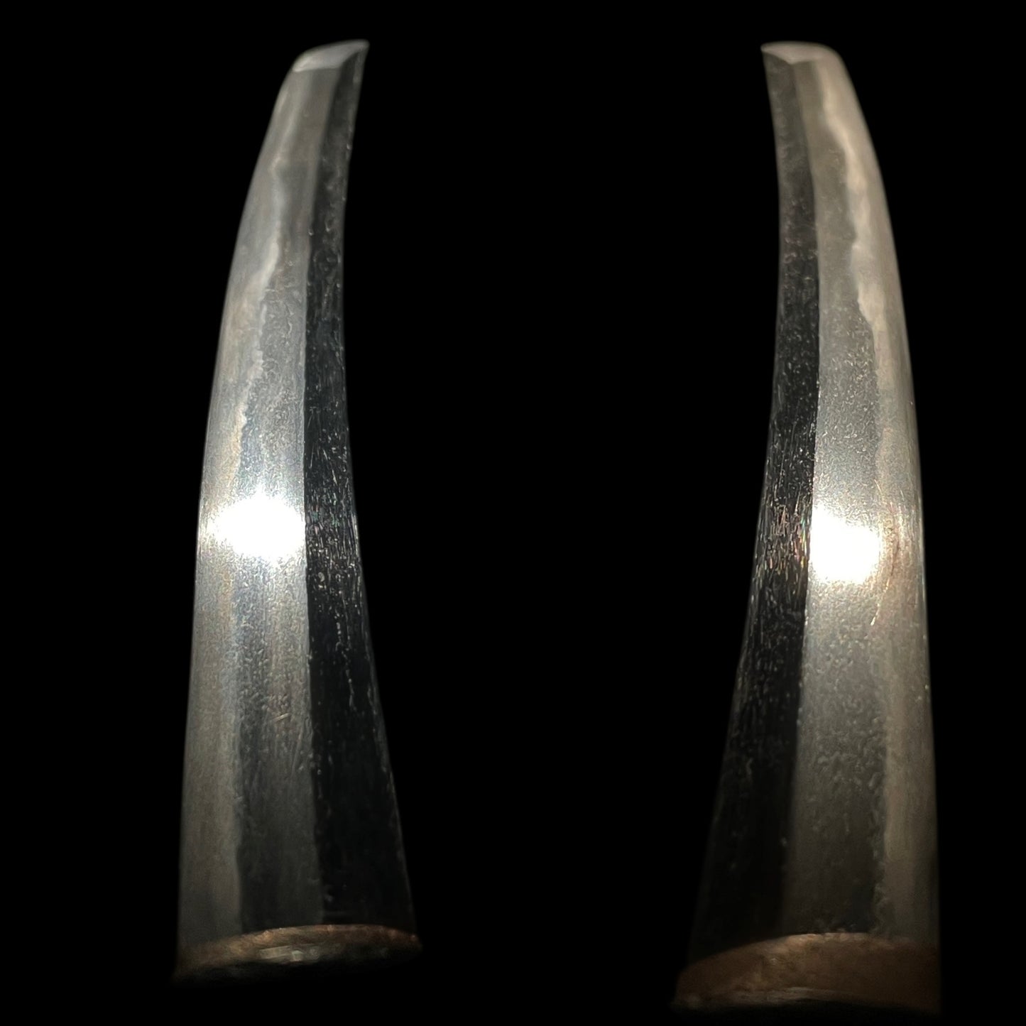 Plum Tsuba Short Wakizashi, Butterfly Fuchi, Edo period mumei