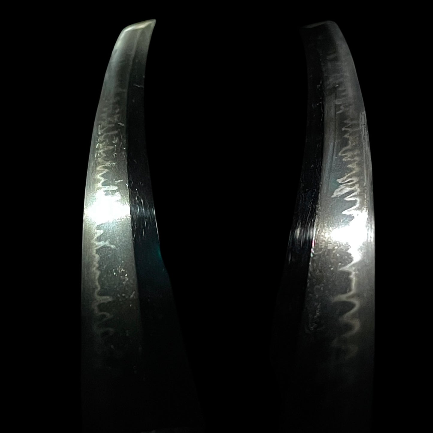 Katsushige 勝重 signed Long Wakizashi, Botanjishi Tsuba, Dragon Kozuka, Edo period