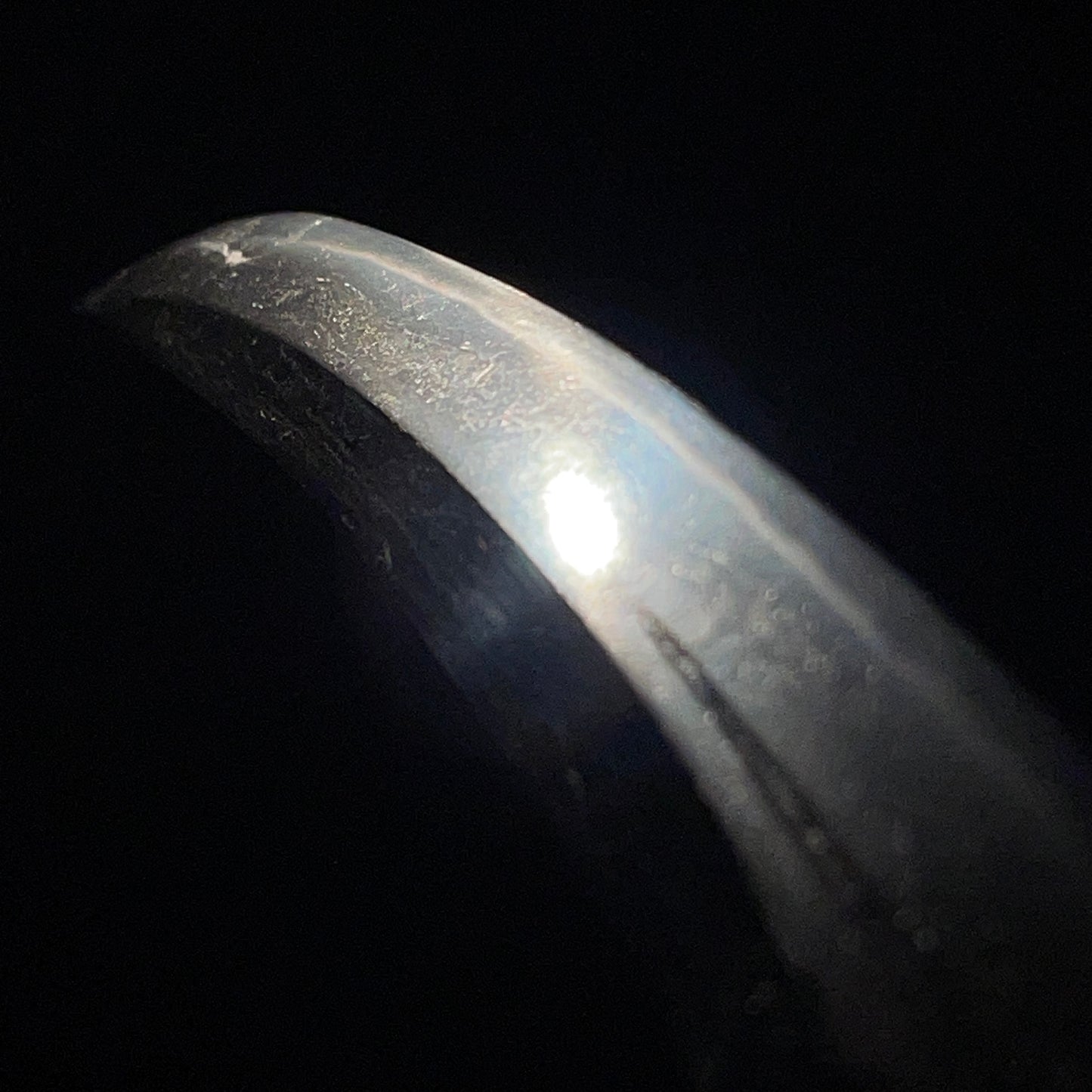 Naginata-Naoshi Zukuri 薙刀直造  Wakizashi, Oninanako Fuchikashira 鬼魚々子縁頭, Edo period