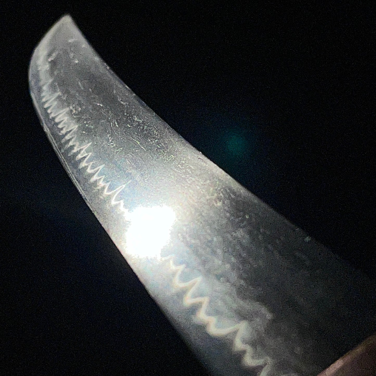 Shinshinto Jumyo 新々刀寿命, Hirazukuri Wakizashi, Late Edo period, NBTHK Certificate