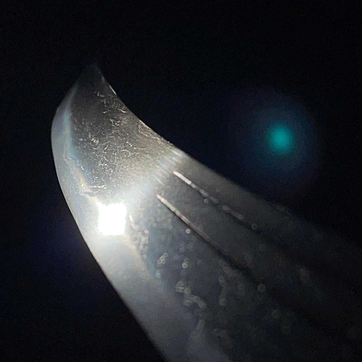 Hirazukuri Danbira Wakizashi, Wide blade, Edo period mumei