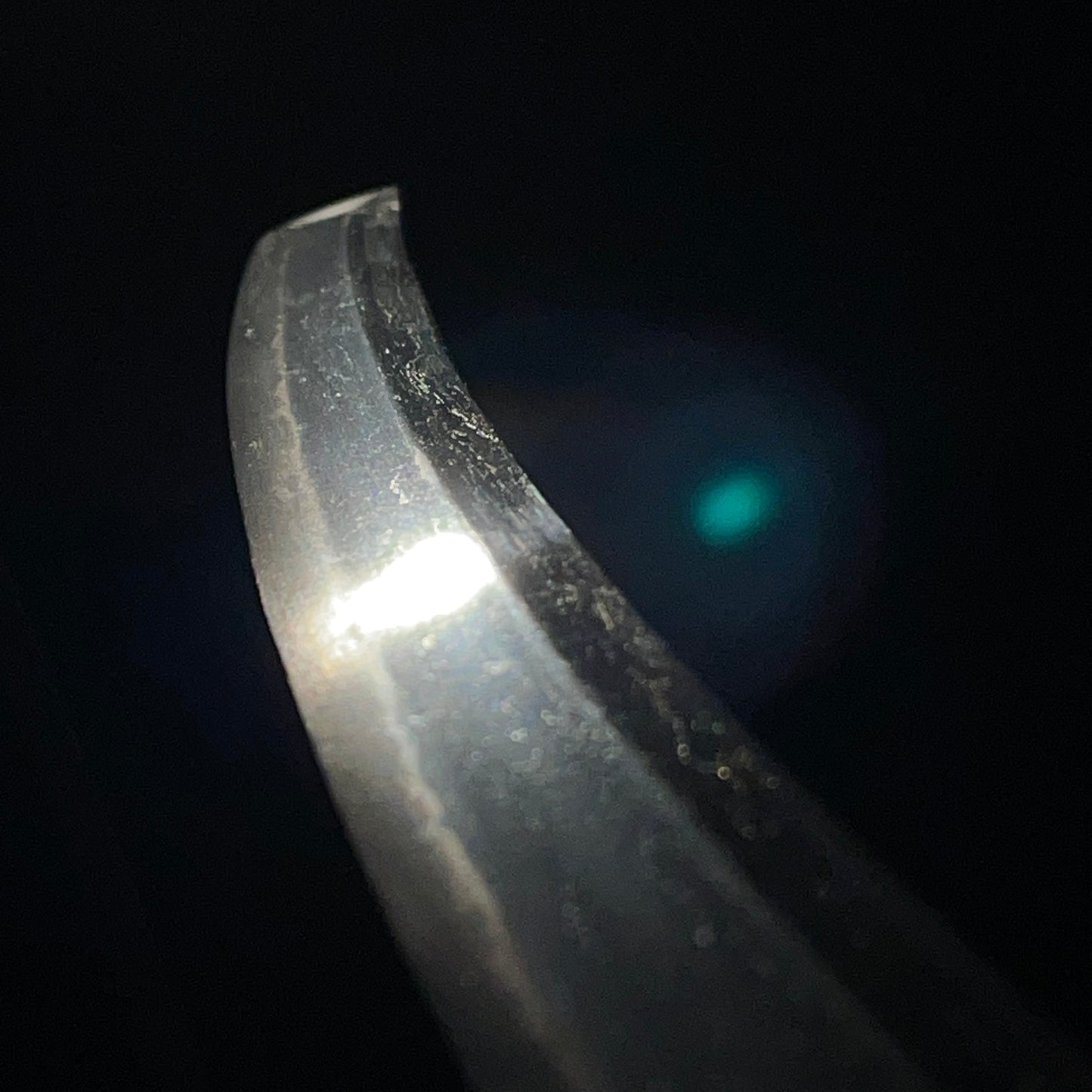 Signed Turnip Fuchikashira 在銘蕪縁頭 Wakizashi, Kabuto Menuki, Edo period mumei