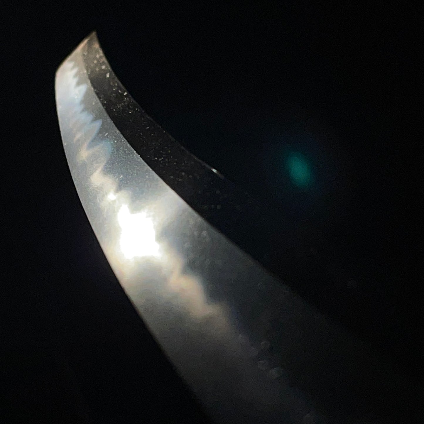 Toranba 濤乱刃 WAKIZASHI, Choshuhagiju Sakunoshin Tomohisa 長州萩住作之進友久 signed TSUBA