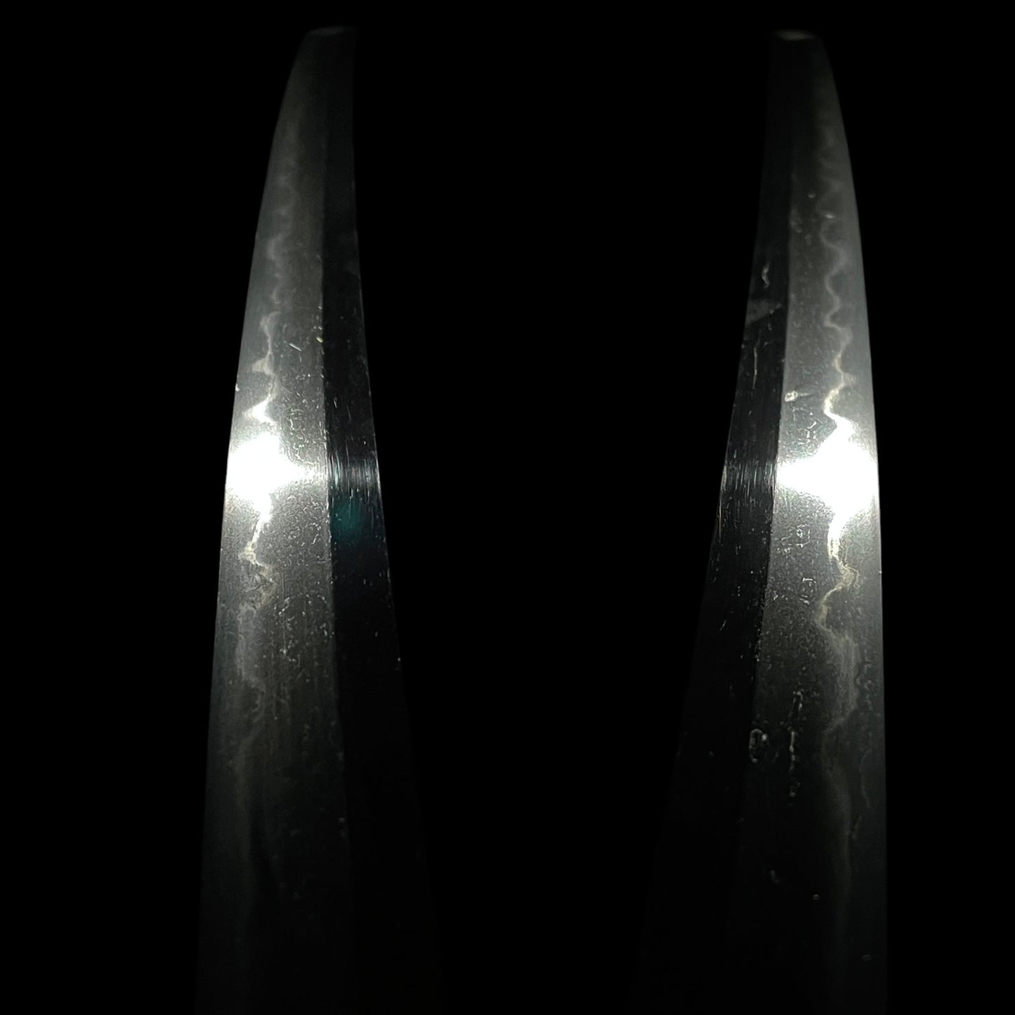 Hidanokami Fujiwara Ujifusa 飛騨守藤原氏房 signed Wakizashi, Horsetail Tsuba, Early Edo period
