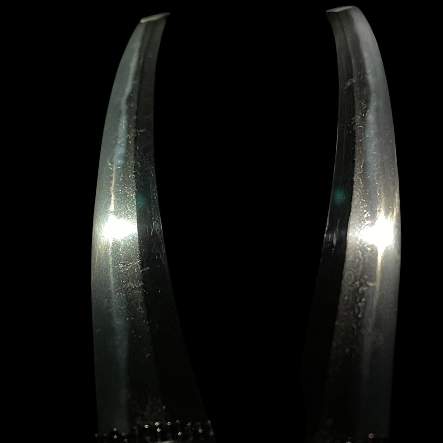 Sukemune 助宗 signed Long Wakizashi, Amazing Habaki, Edo period, NBTHK Certificate