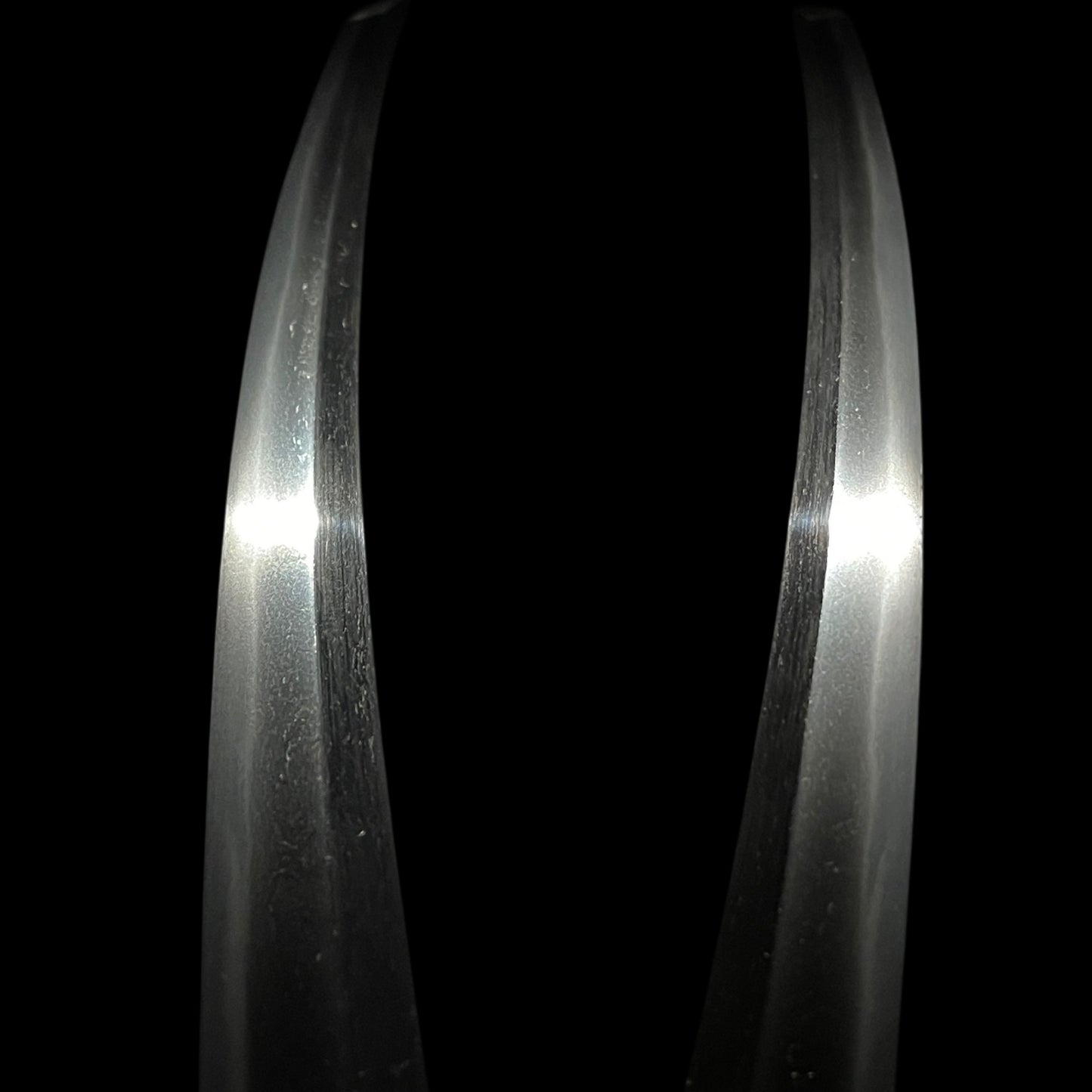 Nanbantetsu 南蛮鉄 Wakizashi, Kaganokami Fujiwara Kanetaka signed, NBTHK Certificate