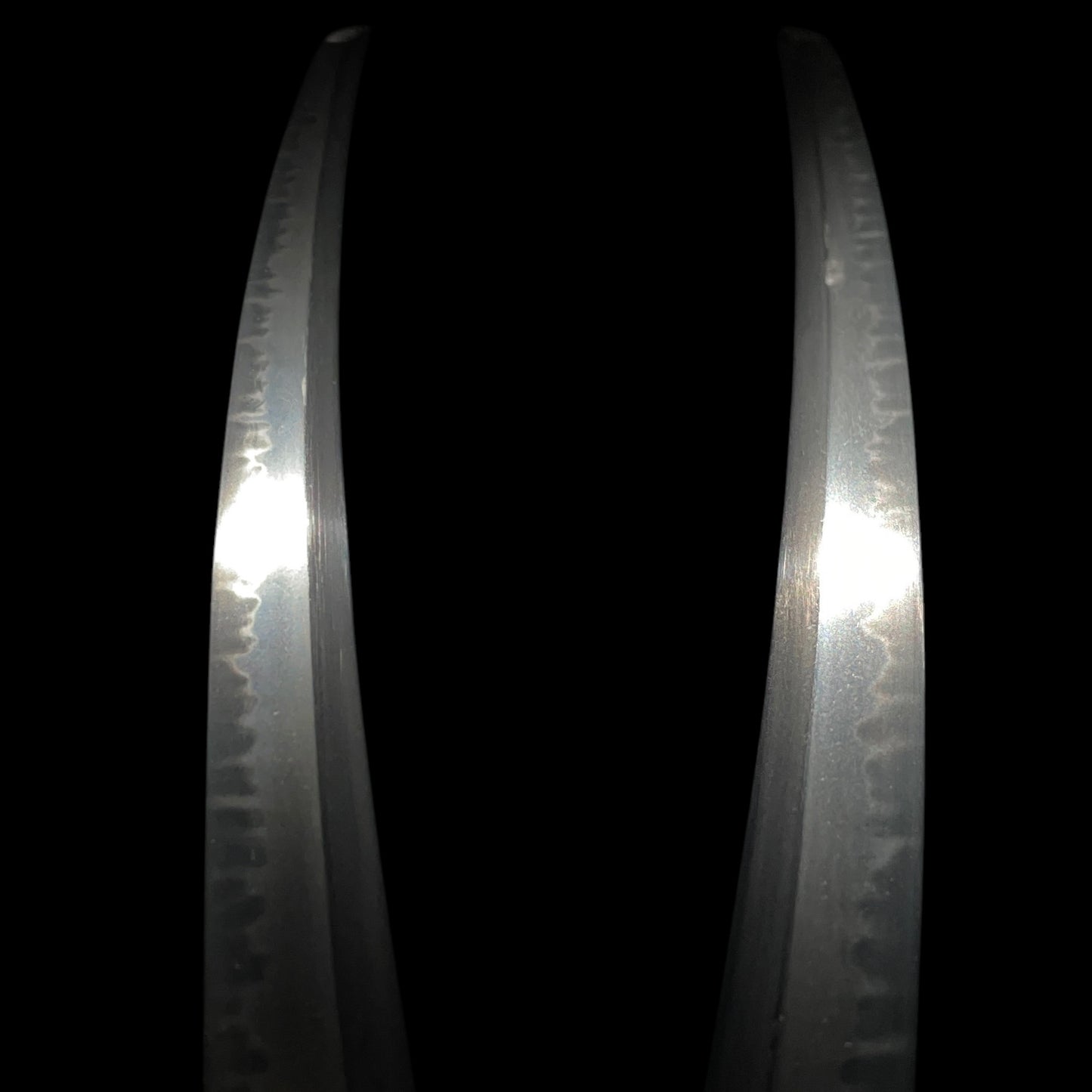 Ccormorant Fishing 鵜飼 Fittings Wakizashi, Kikuchi Tsunesada 菊池序定 signed Fuchi