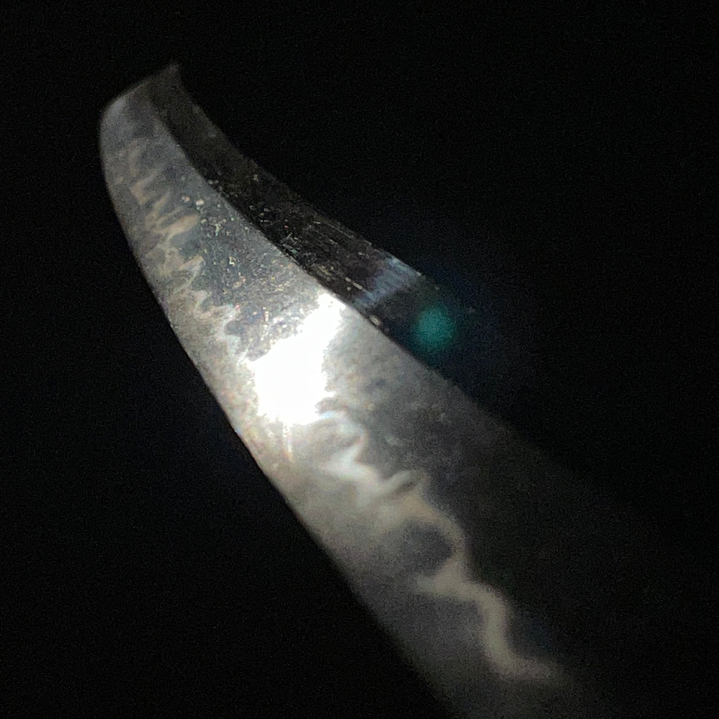 TOKUBETSU-HOZON, Aizu Kanesada 会津兼定, Omidaijo Kanesada 近江大掾藤原兼定 signed Wakizashi
