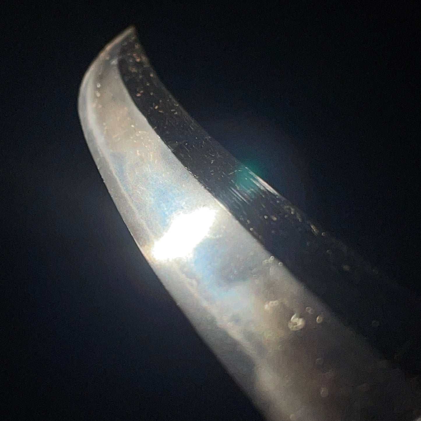 Shobuzukuri Wakizashi, Chili Peppers Menuki, KOTO Muromachi period mumei