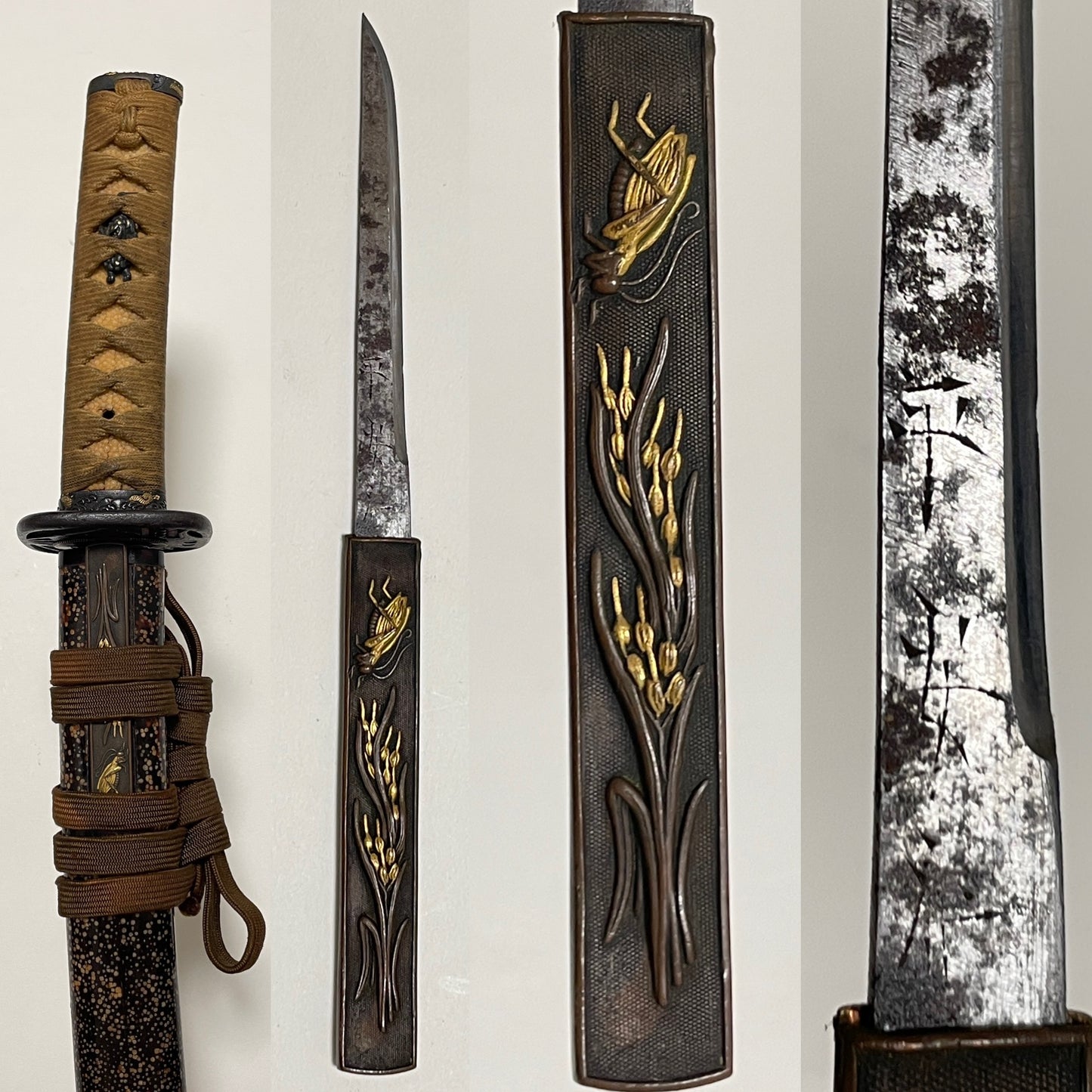 Samesaya-Koshirae 鮫鞘拵 Wakizashi, Oomokumehada, Dragon Fuchikashira, with Kozuka