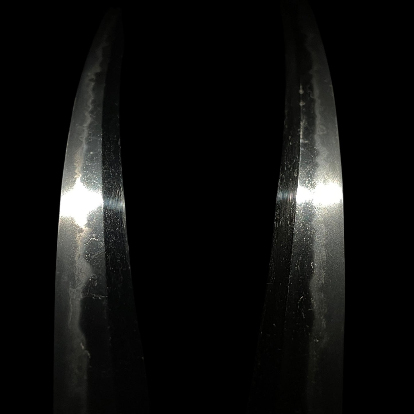 Dragon and Tiger Fuchi 龍虎縁 WAKIZASHI, Botan shishi Menuki 牡丹獅子目貫, Edo period