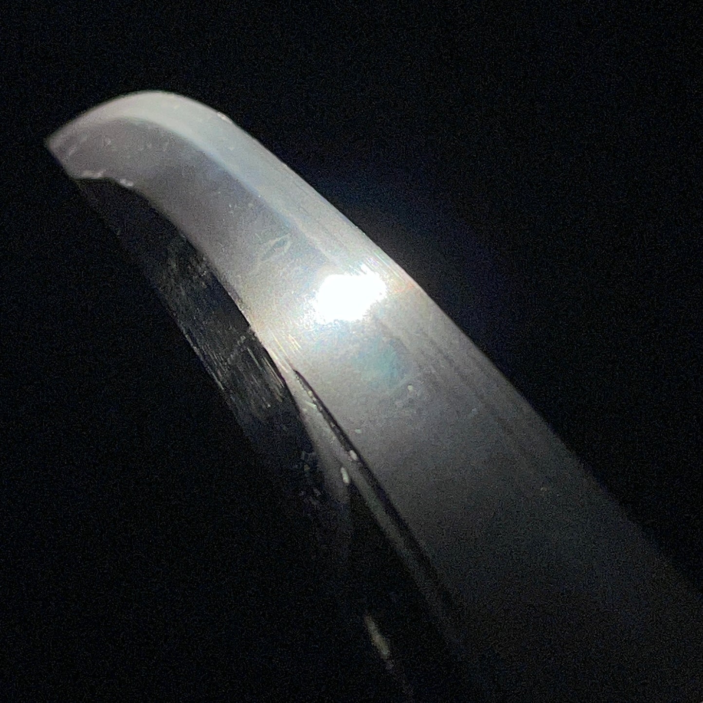 Naginata Naoshi Zukuri 薙刀直造 Wakizashi, Nakayama Ikkansai Yoshihiro 中山一貫斉義弘, Edo period