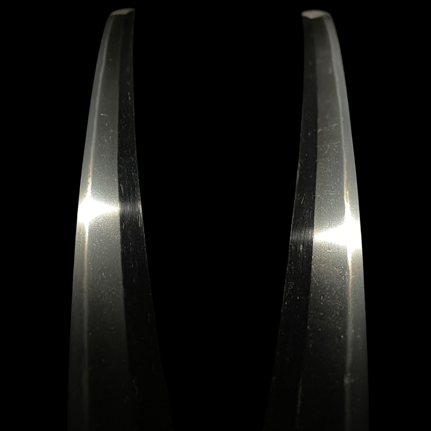 Munetsugu 宗次 signed Wakizashi, Mt.Fuji Kozuka,  Catfish Menuki, Edo period