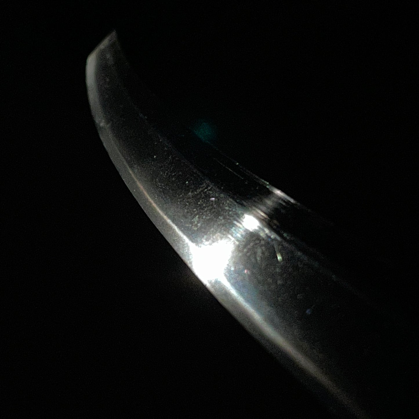 Higonokami Kuniyasu 肥後守国康 signed Long Wakizashi, Waterfowl Brass Fuchikashira, Edo period