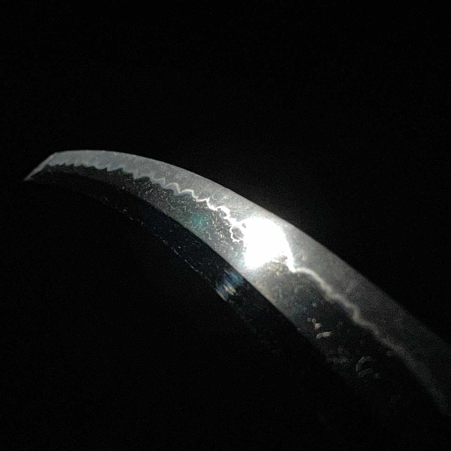 Natanenurisaya 菜種塗鞘 Wakizashi, Bushuedo Echizen Yasutsuna 於武州江戸越前安綱 signed