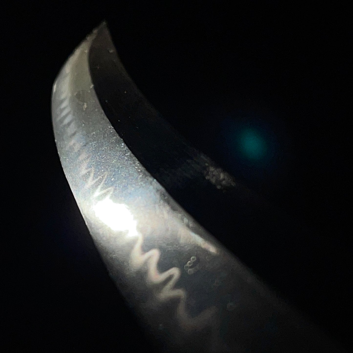 Naginata Naoshi Style, Shobuzukuri Wakizashi, Edo period mumei