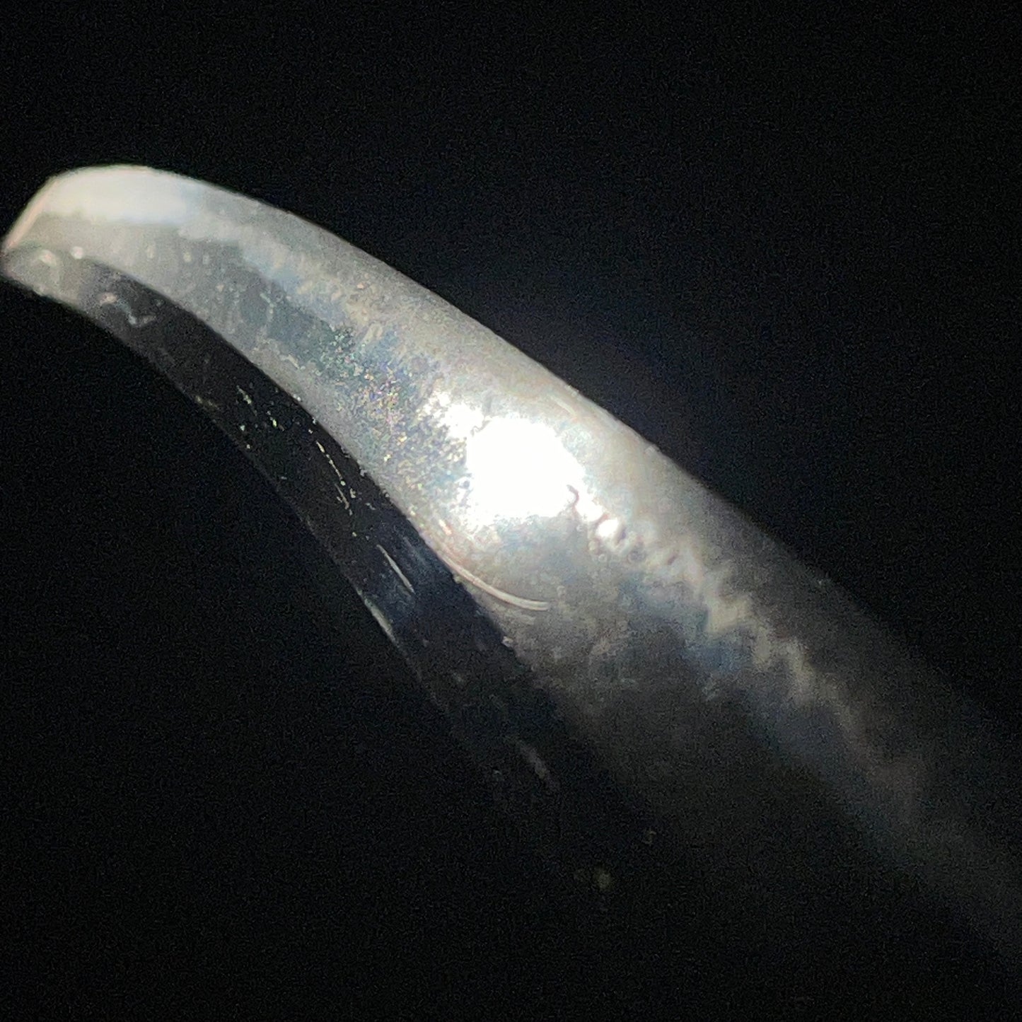 Homarekizu 誉傷, Long Wakizashi in Shirasaya, Edo period mumei