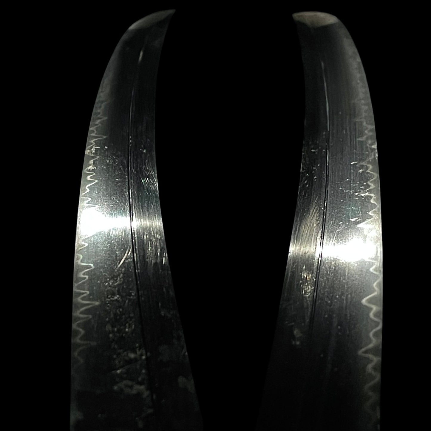 Ookissaki 大切先 Wakizashi, Dragon Fuchikashira, 因州住壽正 signed Kozuka, Edo period mumei