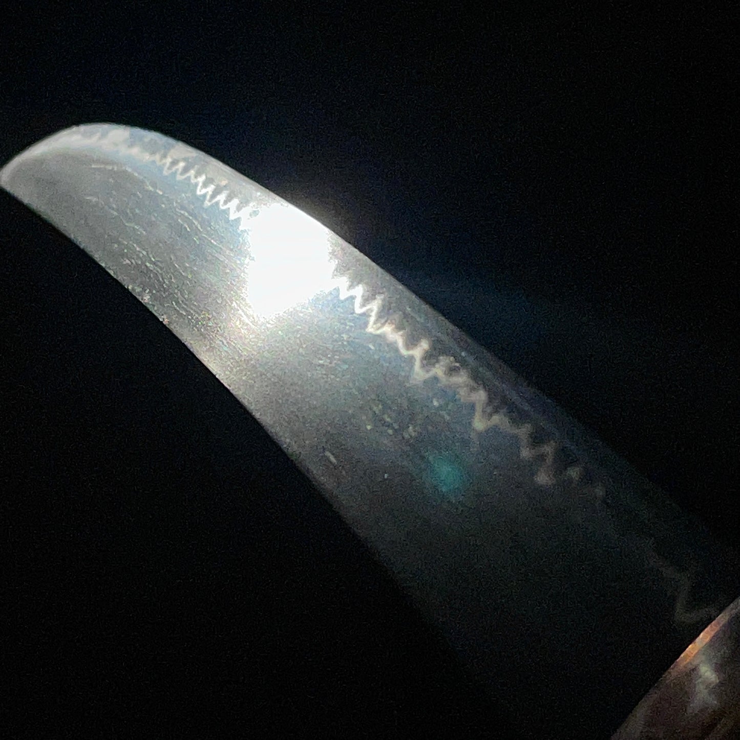 Shinshinto Jumyo 新々刀寿命, Hirazukuri Wakizashi, Late Edo period, NBTHK Certificate