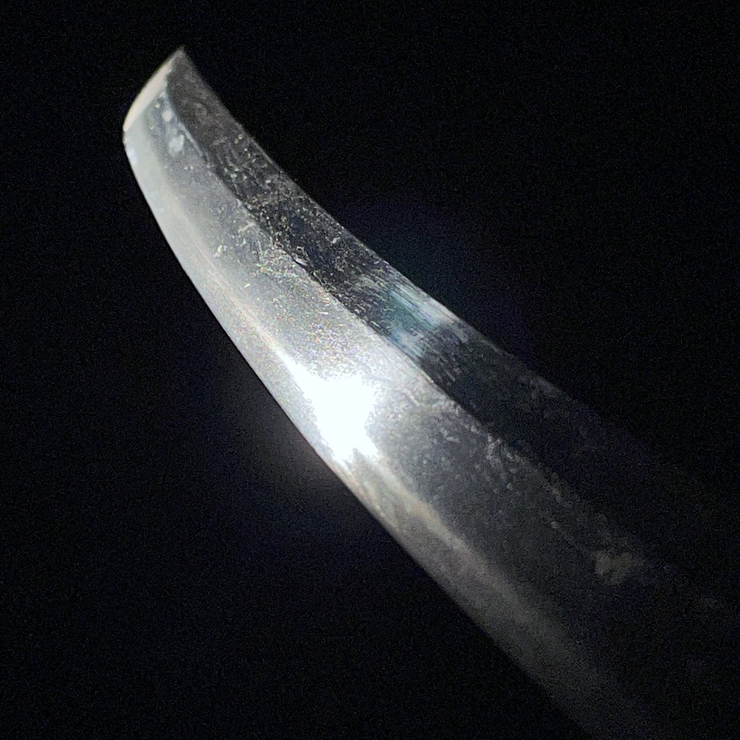 Tanbanokami Fujiwara Terukado 丹波守藤原照門 signed Wakizashi, Pine needles Fuchikashira