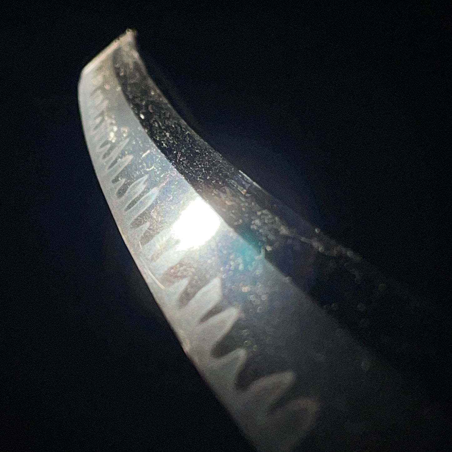 Amazing Gunome-Choji Hamon 互目丁子刃文, Ujifusa 氏房 signed WAKIZASHI, Edo period