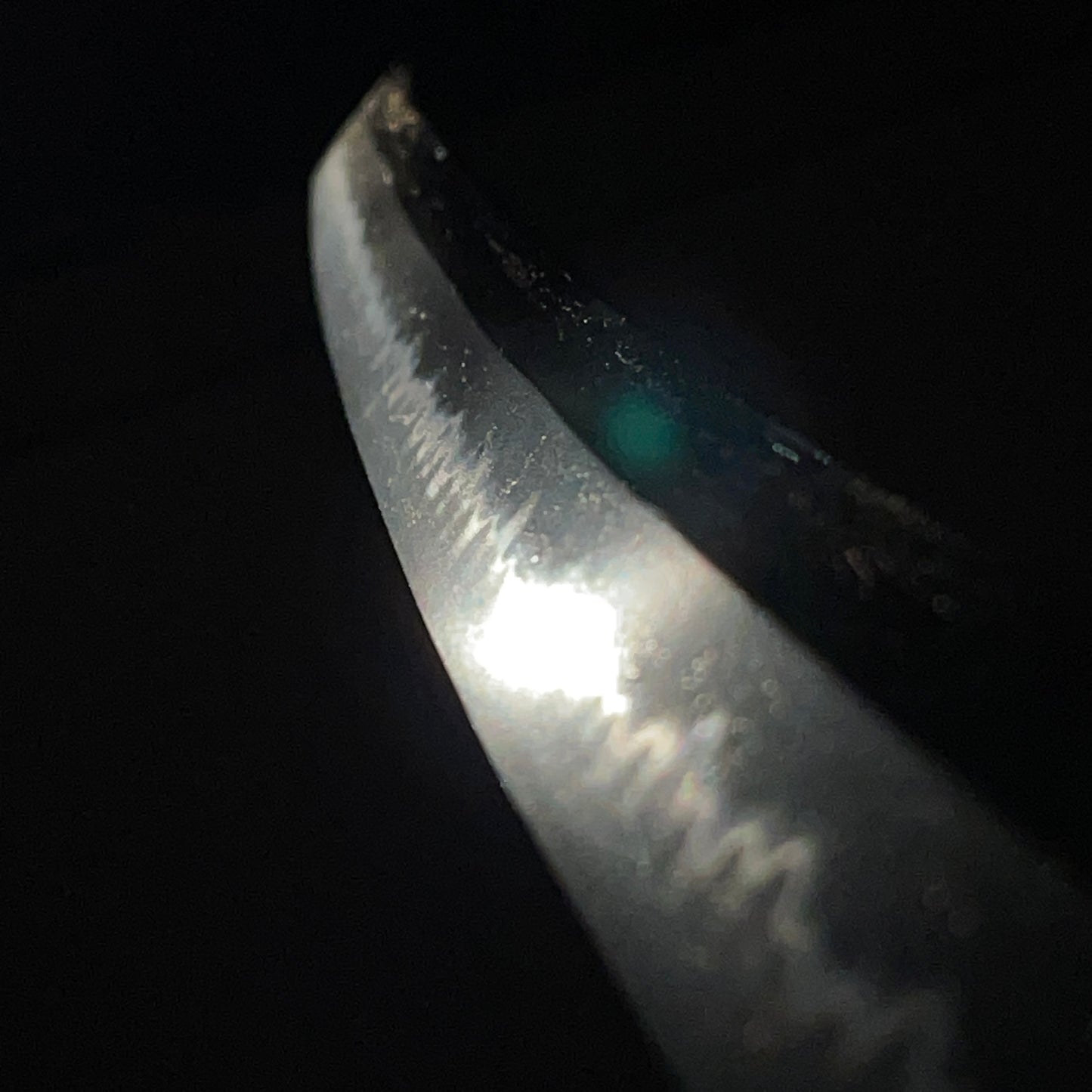 Kozukenokami Fujiwara Jumyo 上野守藤原壽命 signed Long Wakizashi, NBTHK Certificate