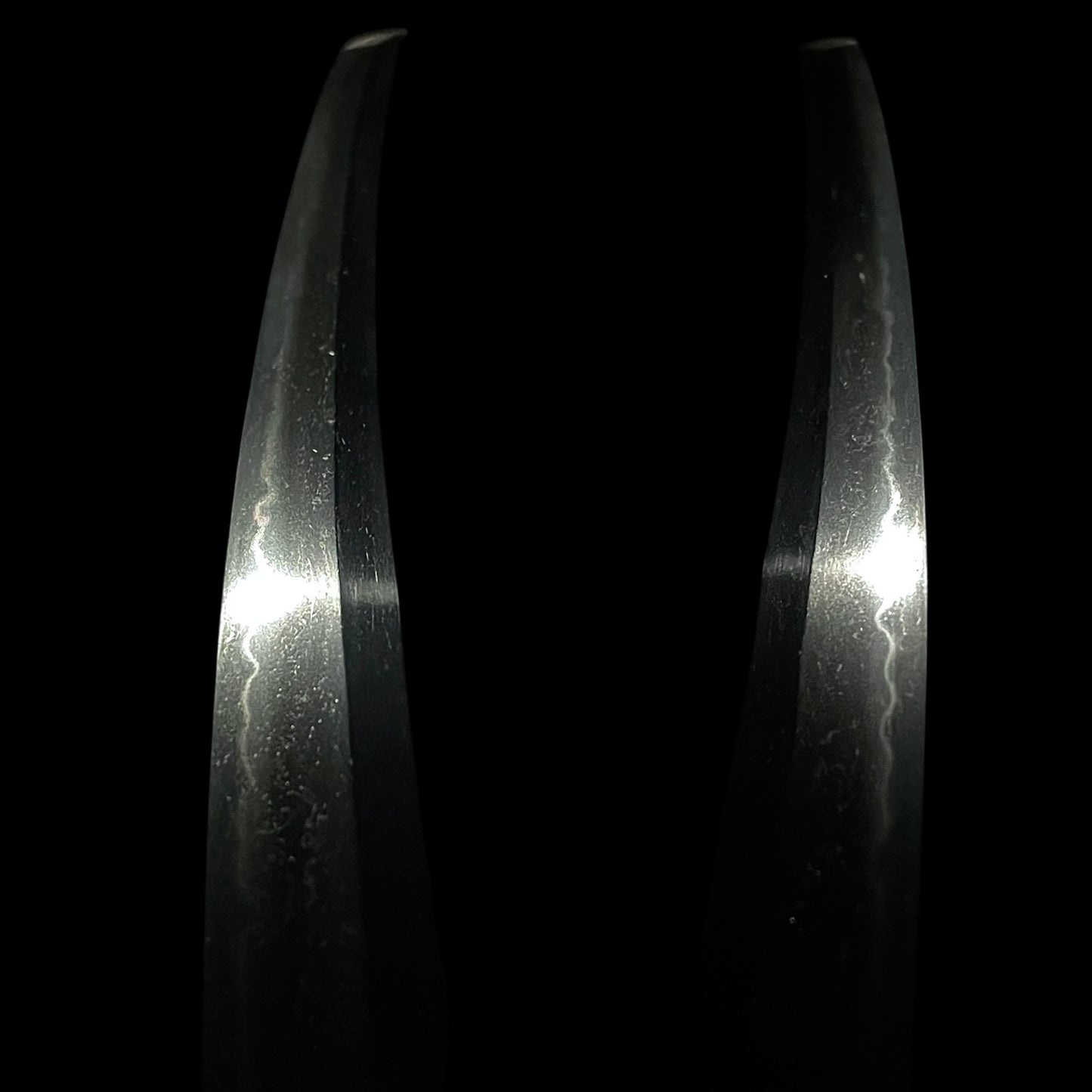 Short Wakizashi, Rinpo 輪宝 Menuki, Sadahiro 貞広 signed Tsuba, Edo period mumei